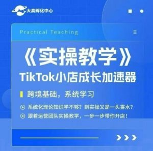 大卖家孵化中心TikTok实操课，TikTok小店成长加速器，跨境基础系统学习，一步一步带你开店-资源云