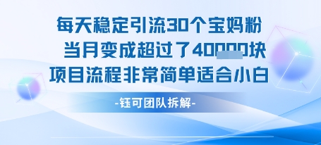 每天稳定引流30个人 当月变成超过了4个W项目流程非常简单适合小白-资源云