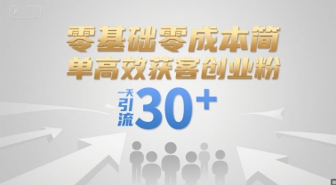 零基础零成本简单高效获客创业粉，一天引流30+-资源云