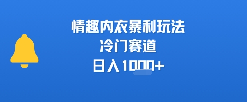 情趣内衣暴利玩法，冷门赛道，日入1k+-资源云
