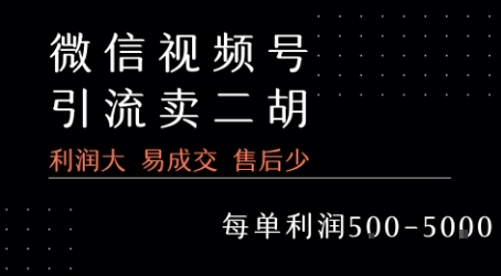视频号卖二胡教程，利润大 易成交 售后少，一单利润5张+-资源云