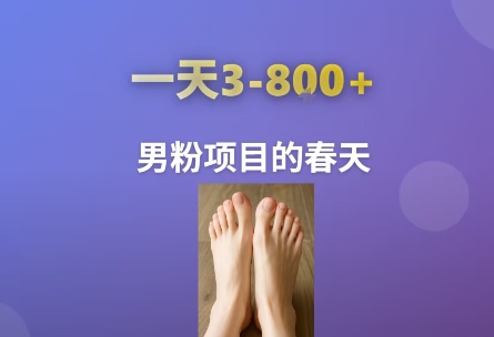 AI一键生成美女素材，一天收益3-8张，男粉项目的春天-资源云