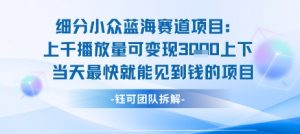 小众蓝海赛道项目:当天变现1k+适合新手操作 +适合长期玩-资源云