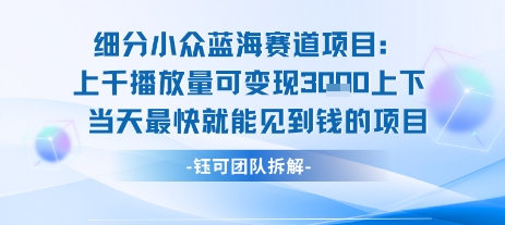 小众蓝海赛道项目：当天变现1k+适合新手操作 +适合长期玩-资源云