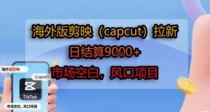 海外版剪映(capcut)拉新,日结算1k+,市场空白,风口项目-资源云