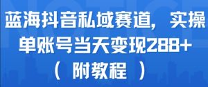 蓝海抖音私域赛道,实操单账号当天变现288+(附教程)-资源云