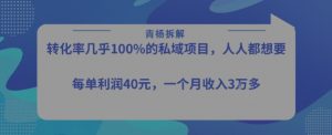 转化率最高的私域项目,每单利润40-50米,月入过1w-资源云