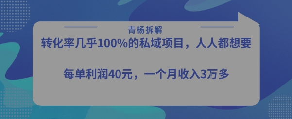 转化率最高的私域项目，每单利润40-50米，月入过1w-资源云