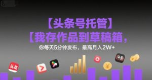 【头条号托管 】我存作品到草稿箱,你每天5分钟发布,最高月入2W+【揭秘】-资源云