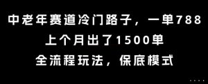 中老年赛道冷门路子,一单788,上个月出了1500单,全流程玩法,保底模式【揭秘】-资源云