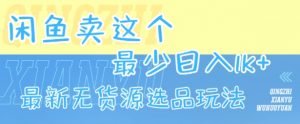 闲鱼卖这个,最少日入1k,最新无货源选品玩法-资源云
