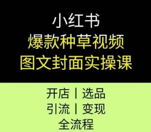 小红书爆款种草视频图文封面实操课,开店、选品、引流、变现全流程-资源云