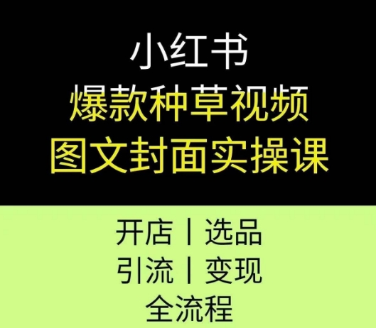 小红书爆款种草视频图文封面实操课，开店、选品、引流、变现全流程-资源云