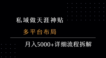私域做天涯神贴 多平台布局 月入5k+详细流程拆解-资源云