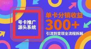 号卡推广源头系统,单卡分销收益3张+,引流到变现全流程拆解【揭秘】-资源云