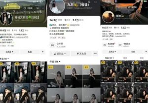 抖音图文文案赛道新玩法,快速养号起号,广告收益分成+橱窗带货+教学收徒等-资源云