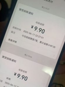 二次元男粉快速变现项目,私域卖虚拟产品,百分利润-资源云