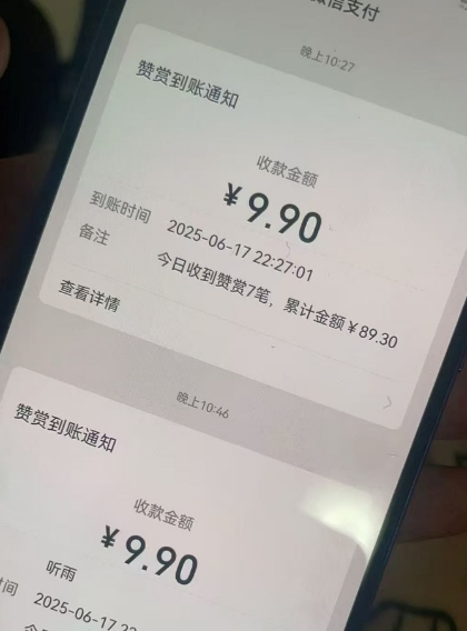 二次元男粉快速变现项目，私域卖虚拟产品，百分利润-资源云