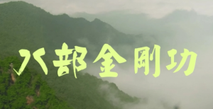 【道爷张至顺八部金刚功，长寿功完整4K高清重置版】MP4【18.4GB】-资源云