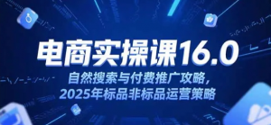 淘宝电商运营课16.0 自然搜索与付费推广攻略 2025年标品非标品运营策略-资源云