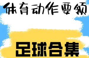 天天足球《校园足球教学视频教程》 7.3GB-资源云