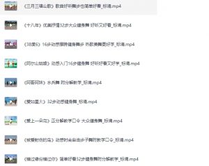 广场舞视频教学500首-高清视频教学【6.3GB】-资源云