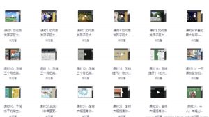 【985逆袭学习方法+提分经验】[4.41GB]-资源云