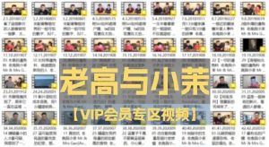 老高与小茉【VIP会员专区视频】【7.85 GB】-资源云