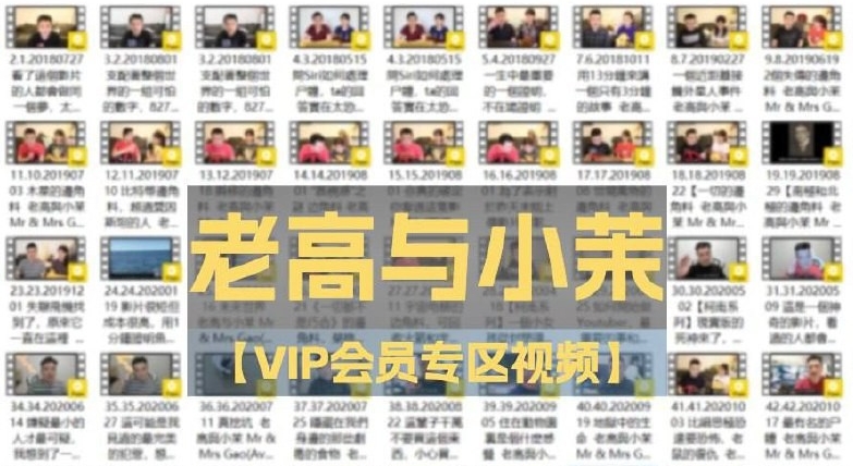 老高与小茉【VIP会员专区视频】【7.85 GB】-资源云