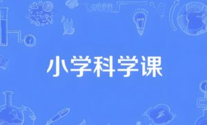 小学科学同步网课动画片 (1-6年级)】[11.48GB]-资源云