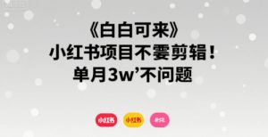 小白可来 小红书项目不需要剪辑 单月3w不是问题-资源云