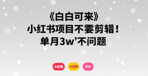 小白可来 小红书项目不需要剪辑 单月3w不是问题-资源云