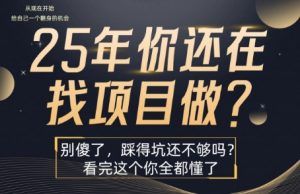 25年,你还在疯狂的找项目吗?别傻了,看完这个你都懂了【揭秘】-资源云