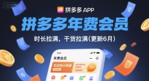 拼多多年费会员,实经验分享操,时长拉满,干货拉满(更新8月)-资源云