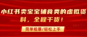 小红书卖宝宝辅食类的虚拟资料,从引流到私域变现,全程干货,简单粗暴,轻松上手-资源云