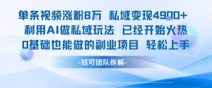 单条视频私域变现4.9k+利用AI做私域玩法 已经开始火热0基础也能做的副业项目轻松上手-资源云