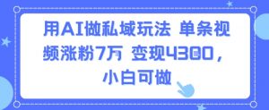 用AI做私域玩法,单条视频涨粉7W变现4.3k,小白可做-资源云