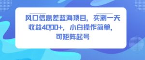 风口信息差蓝海项目,实测一天收益4k+,小白操作简单,可矩阵起号-资源云