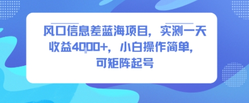 风口信息差蓝海项目，实测一天收益4k+，小白操作简单，可矩阵起号-资源云