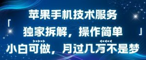 苹果手机技术服务,独家拆解,操作简单,小白可做,月过1W不是梦-资源云