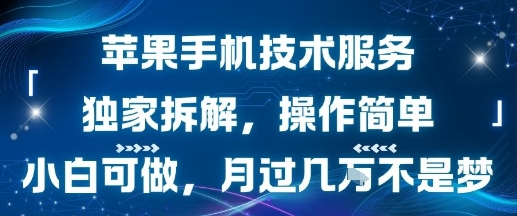 苹果手机技术服务，独家拆解，操作简单，小白可做，月过1W不是梦-资源云