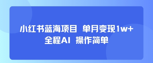 小红书蓝海项目 单月变现1w+ 全程AI 操作简单-资源云