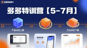 多多特训营【5-7月】产品决定上限,方法决定下限,各种玩法技巧落地实操-资源云