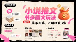 小说推文小红书多图文玩法，简单粗暴，万播收益3张-资源云