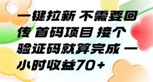 一键拉新 不需要回传 首码项目 接个验证码就算完成 一小时收益70+【揭秘】-资源云
