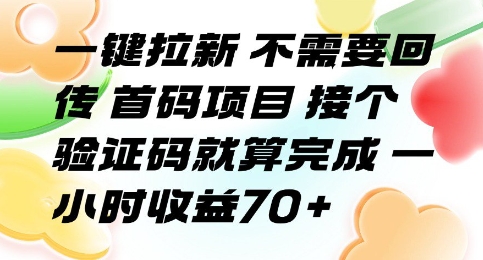 一键拉新 不需要回传 首码项目 接个验证码就算完成 一小时收益70+【揭秘】-资源云