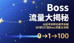 Boss流量大揭秘,从起号到转化细节拆解,从0到1打造Boss流量全流程-资源云