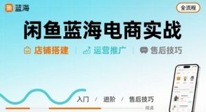 闲鱼蓝海电商实战,店铺搭建运营售后全流程-资源云
