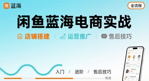 闲鱼蓝海电商实战，店铺搭建运营售后全流程-资源云