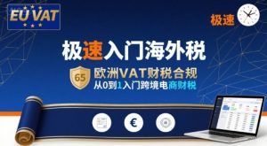 极速入门海外税,欧洲VAT财税合规,从0到1入门跨境电商财税-资源云